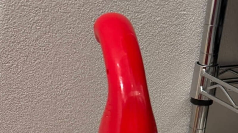 ママ「私の掃除機撤去されてた」→2歳娘が代わりに置いたのは…… 「機種変更www」まさかの光景に「そこじゃないのよ〜」