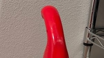 【画像】娘が代わりに置いたもの（全体を見る）