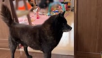 【画像】記事を読む