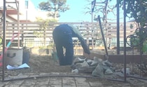 DIY素人の60歳妻が、庭に“邪魔な石”を積み上げていくと……　感動の光景に「すごいなぁ～」「もう、家一軒建てちゃうぐらいの感じ」