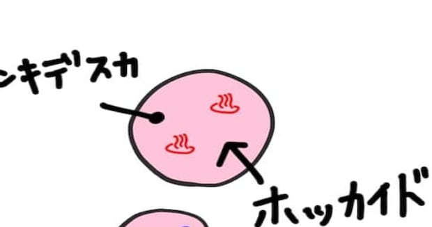 “一般的な韓国人”が日本地図を描くと……「やばいおもろい」まさかの光景に「そんなに知ってるの？」