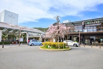「売りは就職です」　“就職評価が高い関西の大学”ランキング上位に「関西私立の同学部ではトップクラス」「どの職場に行っても必ず先輩がいる」の声
