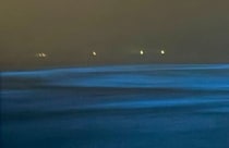 大雨の夜、愛知県の人気のない海岸に向かってみると……　信じられない光景に「自然の神秘ですね」「人生で一度は見たい」