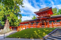 「奈良に行ったら絶対買う」　“地元で愛される銘菓”に絶賛の声　「柔らかくてとろける」「手土産なら間違いない」