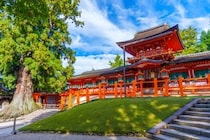【画像】奈良で愛される「御城之口餅」詳細を見る