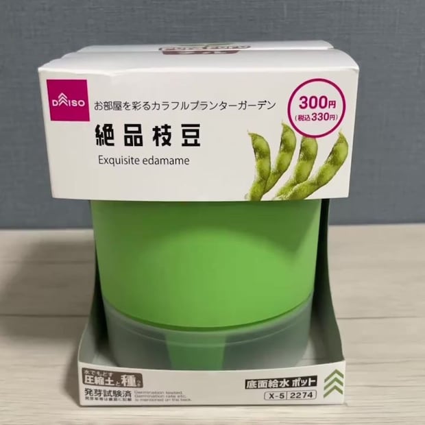 ダイソーで買った330円の“枝豆栽培キット”→室内で育てたら、36日後……　驚きの姿に「なんでこれが300円で売れるのよ！」