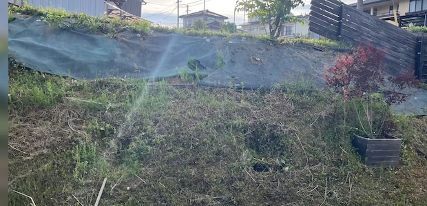 雑草生え放題だった庭の斜面→夫妻がDIYで対策したら……　雰囲気ガラリ「すごーい！」「センスが抜群」「マネしたい」
