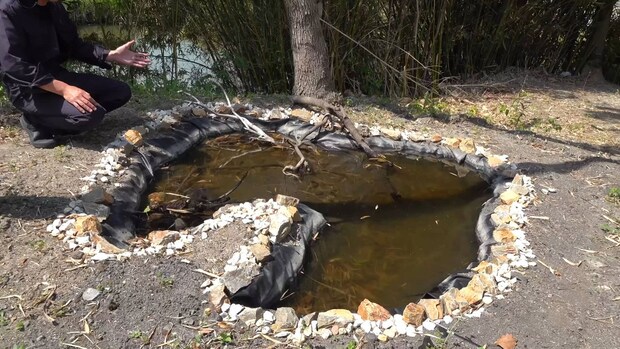 庭にビオトープを作って2カ月後→「一体何に襲われたのか」　目を疑う現状に「悲しいです」「困りますね」