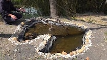 【動画】ビオトープの様子