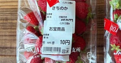 “10円”でゲットしたパックいちご→家で盛り付けたら……　“衝撃の一皿”が300万表示　「やっすぅぅぅい」「羨ましすぎるだろ!!」