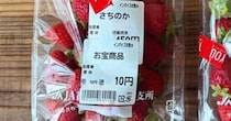 “10円”でゲットしたパックいちご→家で盛り付けたら……　“衝撃の一皿”が300万表示　「やっすぅぅぅい」「羨ましすぎるだろ!!」