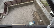 【画像】愛犬と庭で過ごす様子