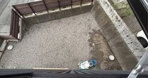 【画像】記事を読む