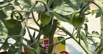 【画像】取るべきもの