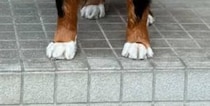 【画像】驚きの表情