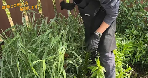 数週間で雑草ボーボーになった花壇→プロ直伝の“今すぐできる対策”に「ありそうでなかった」「とても参考になりました」