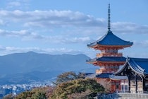 【画像：ランキング20位～1位を見る】