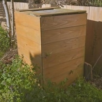 【画像】ただの雑草が変化