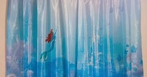 【画像】驚きの光景
