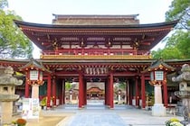 【画像：ランキング15位～1位を見る】