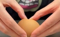 普通の卵を割ったら……　鳥肌モノの中身が209万再生「食べれんやん」「TRICKのオープニングみたい」