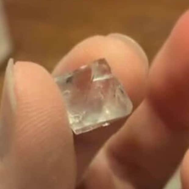 ミョウバンを25カ月育てたら……信じられない姿が180万再生「驚きました」「人間の言葉理解してそう」