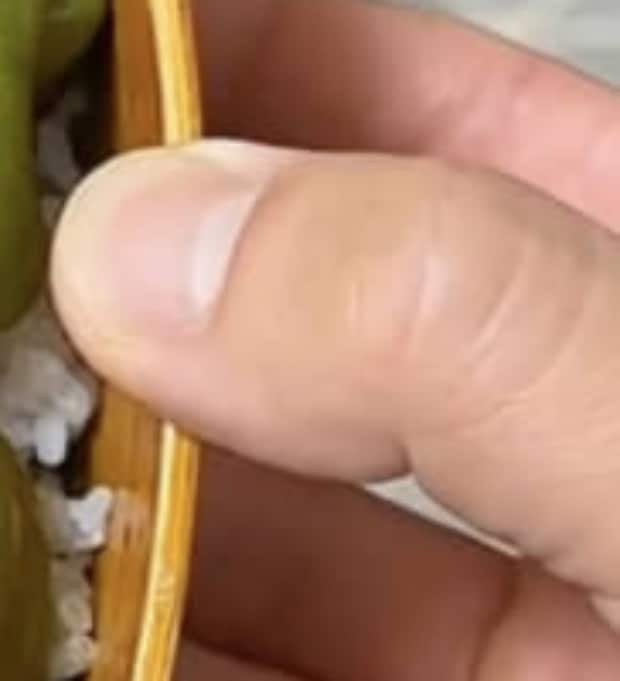 出勤する妻のため、2児パパが作った弁当を開けてみると…… 衝撃の中身に「ビール飲みたくなる」「見た目のインパクトが」
