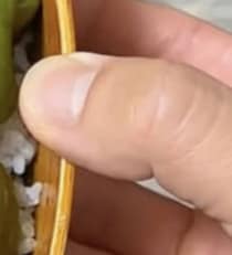 出勤する妻のため、2児パパが作った弁当を開けてみると……　衝撃の中身に「ビール飲みたくなる」「見た目のインパクトが」