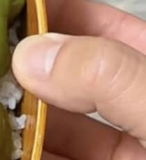 【動画】弁当作りの様子