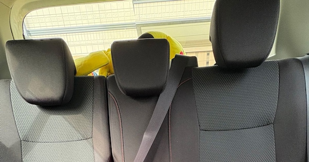 ぬいぐるみを乗せたまま車検へ→ドアを開けると……「神」 まさかの光景が「解ってるスタッフだぁ」「草」と140万表示
