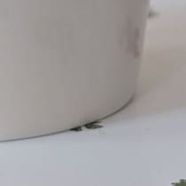 【画像】過去にもらった景品