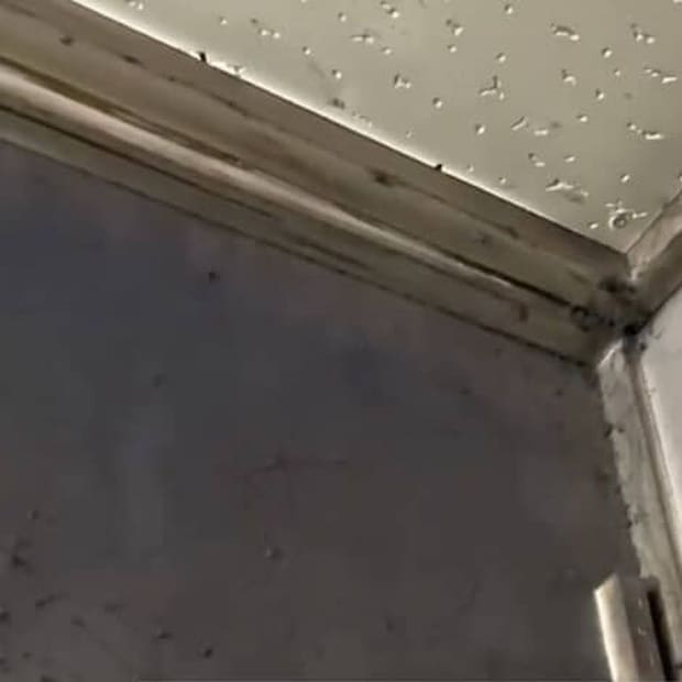 築47年義実家にある「開かずの扉」→おそるおそる開けてみたら中に……　声が出る光景に「怖すぎる」「わあぁあ」