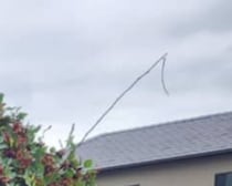 「どうするのこの量」実家の畑にある桑の木→実の量をみると……「すすすすすすごい!!!!」とんでもない大豊作に悲鳴