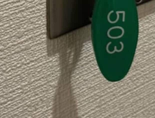 ホテルの電気をつけようとしたら……「初めて見た」　“分かる人には分かる”光景へ「大昔はコレだった」「テンション上がりますね」