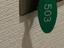 ホテルの電気をつけようとしたら……「初めて見た」　“分かる人には分かる”光景へ「大昔はコレだった」「テンション上がりますね」