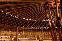 「天国のような特殊な大学」　“すべての講義が英語で行われる大学”に学生からの高評価多数！「新しいことが多く毎日が楽しい」「多くの学生が一流の企業に就職」