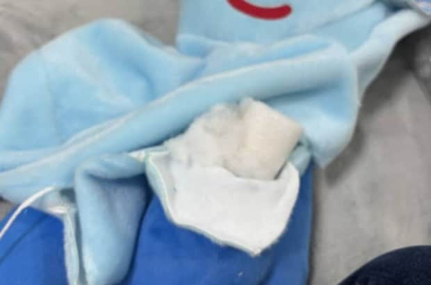 コストコで買ったぬいぐるみ→布を剥がして板を入れると……　まさかの完成品に「天才すぎる！」「こりゃ、子ども喜ぶわ」