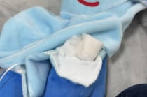 コストコで買ったぬいぐるみ→布を剥がして板を入れると……　まさかの完成品に「天才すぎる！」「こりゃ、子ども喜ぶわ」