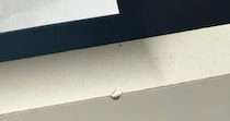 【実際の投稿】「息子が初めて書いてくれたわたし」