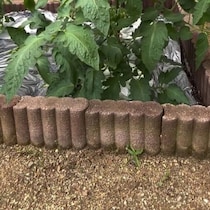 家庭菜園トマト「“地獄”を回避したいなら梅雨前にやって！」目からウロコの光景に「怖い」「やりますー！！」