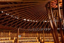 「天国のような特殊な大学」　“すべての講義が英語で行われる大学”に学生からの高評価多数！「新しいことが多く毎日が楽しい」「多くの学生が一流の企業に就職」