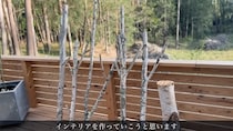 やむを得ず伐採した玄関の白樺→枝を20本以上ひたすら留めていくと……　生まれ変わった姿に「感性が本当に素敵」「センスの塊ですね」