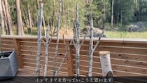 【画像】まさかの完成品