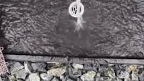 ビチャビチャ跳ねる立水栓→カインズのマットを敷くと……「これってこういう意味があったのか…！」