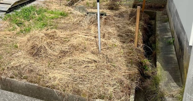 プロ「1人で全部やりました」→ボロボロだった庭が…… 「すげぇ!」まさかの完成に「神様やん」「凄過ぎて滅」