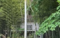 【画像】圧巻の光景