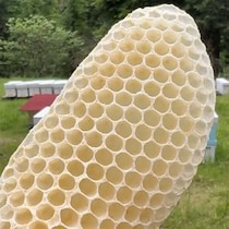 【動画】完成までを見る