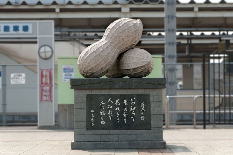 「平仮名にすべきだったw」　千葉県の“難読市町村名”に「冷静に考えたら不思議な読み方」「ふつうに考えてトップ難読」の声【6月15日は「千葉県民の日」】