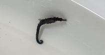 【画像】驚きのビフォーアフター