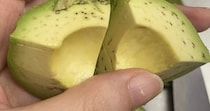 朝食用のアボカドを切ったら……「初めて見た」“衝撃の断面”に「うううう鳥肌ああああ」「こわっ！」